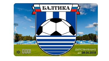 Введена электронная